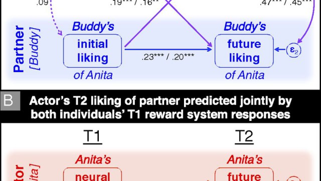 Liking Method Neural Precursors of Future Liking and its Mutual Reciprocation ...